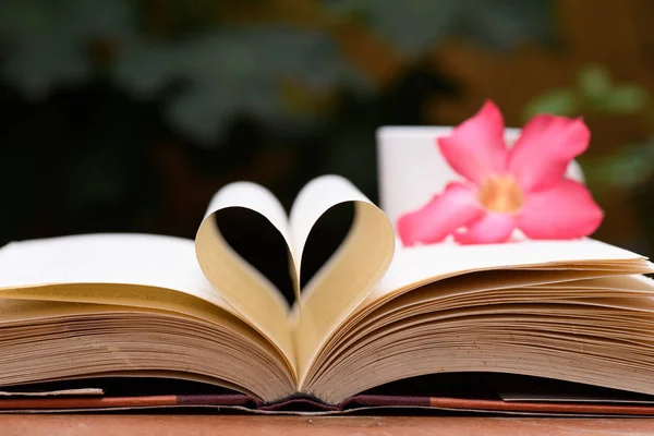 Kalp şekli sayfa ile açık kitap