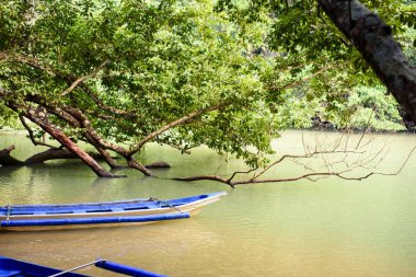 Nehir kıyısında mavi bir tekne.