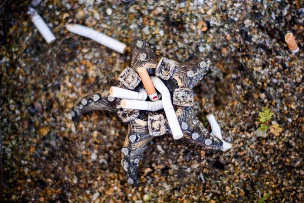 Mégots de cigarette dans un cendrier étoile de mer — Photo