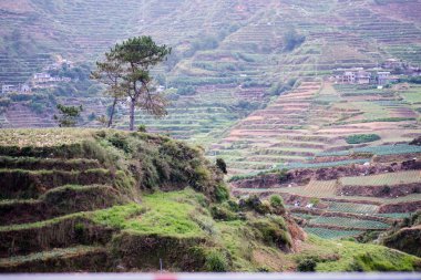 Sagada, Mountain Province, Philippines.