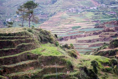Sagada, Mountain Province, Philippines.