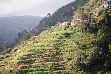 Sagada, Mountain Province, Philippines.