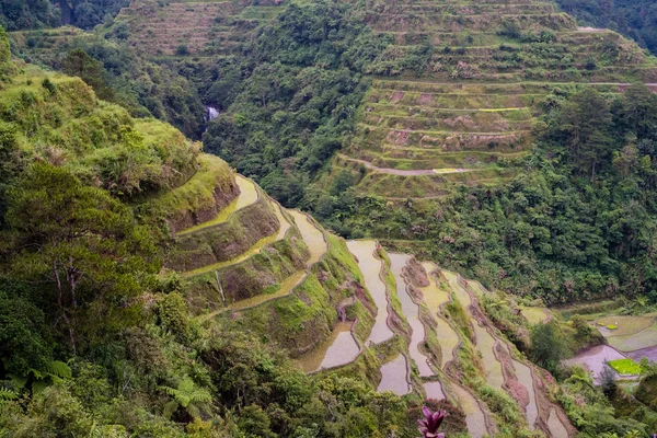 Banaue Rice Terraces Filippine 2017 — Foto Stock