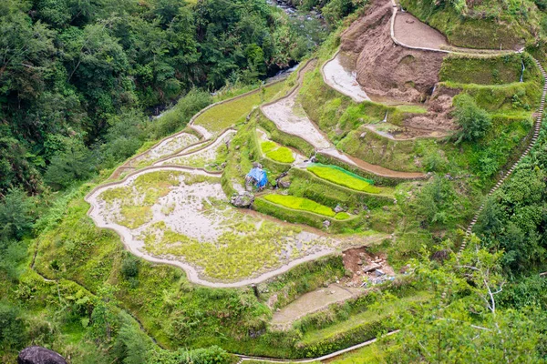 Banaue Rice Terraces Filippine 2017 — Foto Stock