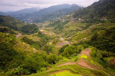 Banaue Rice Terasları, Filipinler. 2017