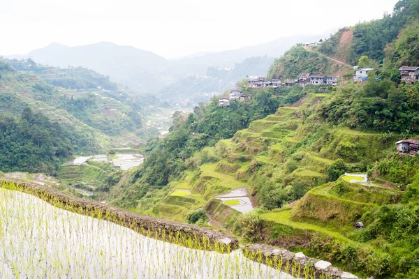 Banaue Rice Terraces Philippines 2017 — Stock Photo, Image