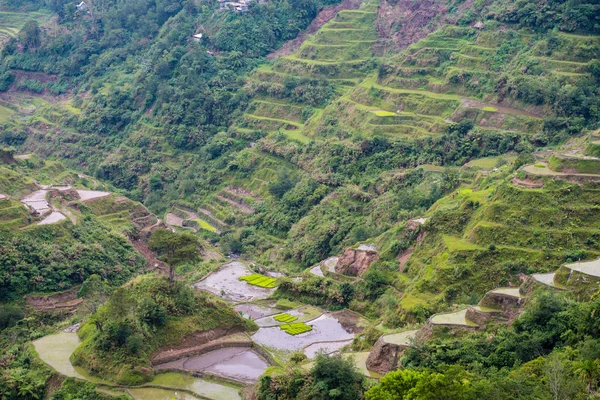 Banaue Rice Terraces Φιλιππίνες 2017 — Φωτογραφία Αρχείου