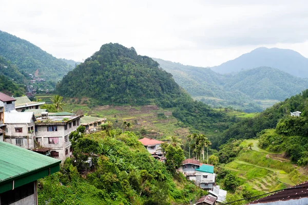Banaue Rice Terasları, Filipinler. 2017