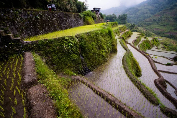 Banaue Rice Terraces Filippine 2017 — Foto Stock