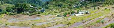 Batad Rice terasları, Banaue, Ifugao, Filipinler.
