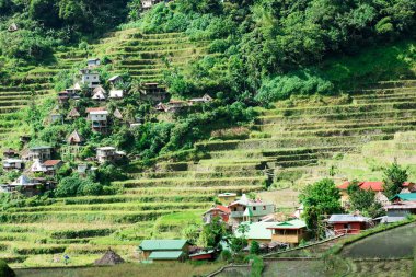 Batad Rice terasları, Banaue, Ifugao, Filipinler.