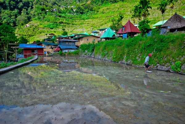 Terrasses Riz Batad Banaue Ifugao Philippines — Photo