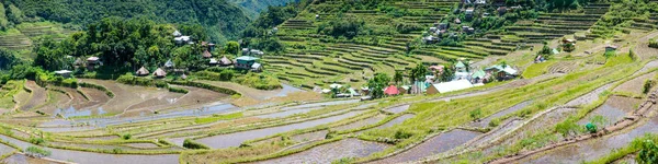 Terrazze Batad Rice Banaue Ifugao Filippine — Foto Stock