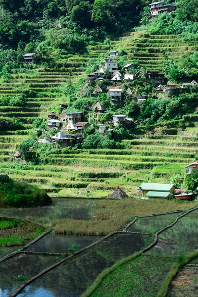 Terrazze Batad Rice Banaue Ifugao Filippine — Foto Stock