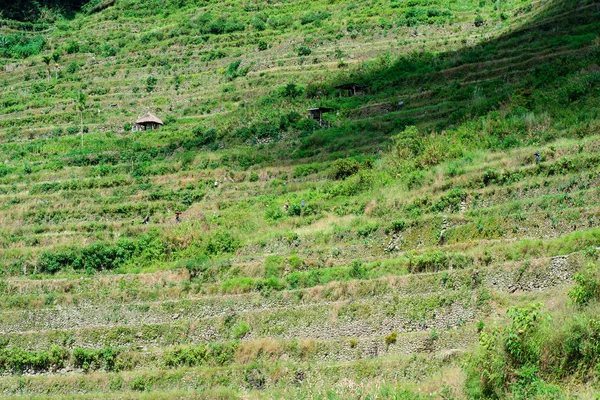 Batad Rice Terraces Banaue Ifugao Philippines — Stock Photo, Image