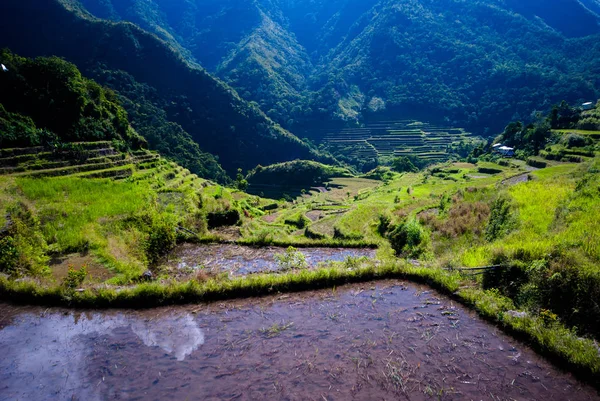Terrazze Batad Rice Banaue Ifugao Filippine — Foto Stock