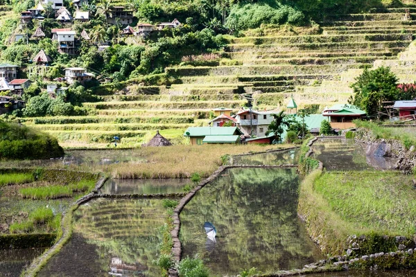 Batad Terrazas Arroz Banaue Ifugao Filipinas —  Fotos de Stock