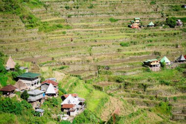 Batad Rice terasları, Banaue, Ifugao, Filipinler.