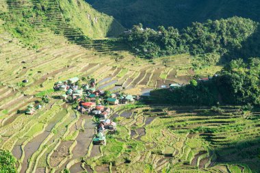 Batad Rice terasları, Banaue, Ifugao, Filipinler.