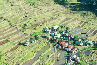 Batad Rice terasları, Banaue, Ifugao, Filipinler.
