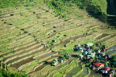 Batad Rice terasları, Banaue, Ifugao, Filipinler.
