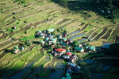 Batad Rice terasları, Banaue, Ifugao, Filipinler.