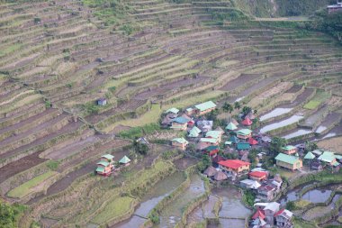 Batad Rice terasları, Banaue, Ifugao, Filipinler.