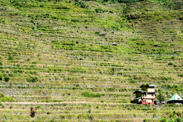Batad Rice Terraces Banaue Ifugao Φιλιππίνες — Φωτογραφία Αρχείου