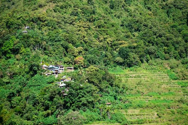Batad Terrazas Arroz Banaue Ifugao Filipinas — Foto de Stock