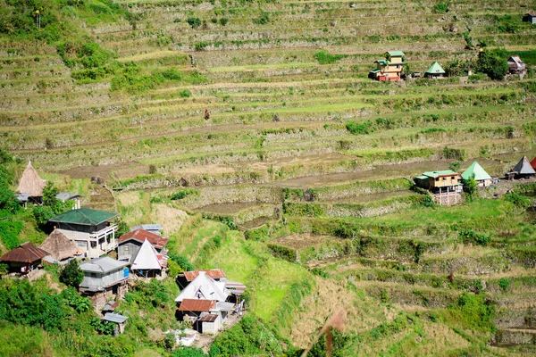 Batad Rice terasları, Banaue, Ifugao, Filipinler.
