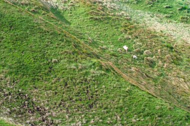 Otlak Batanes, Filipinler.