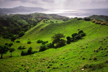 Otlak Batanes, Filipinler.