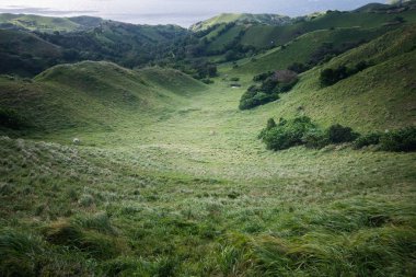 Otlak Batanes, Filipinler.