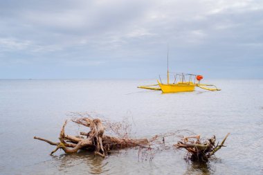 Sarı tekne kıyıda demir attı