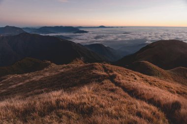 Filipinler 'deki Pulag Dağı Ulusal Parkı' nın zirvesindeki bulutların manzarası..