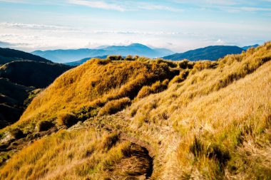 Filipinler 'deki Pulag Dağı Ulusal Parkı' nın zirvesindeki bulutların manzarası..