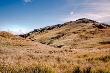 Pulag Dağı Ulusal Parkı, Benguet, Filipinler manzarası.
