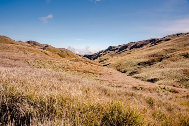 Pulag Dağı Ulusal Parkı, Benguet, Filipinler manzarası.