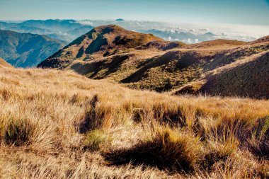 Pulag Dağı Ulusal Parkı, Benguet, Filipinler manzarası.