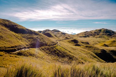 Pulag Dağı Ulusal Parkı, Benguet, Filipinler manzarası.