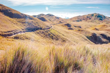 Pulag Dağı Ulusal Parkı, Benguet, Filipinler manzarası.