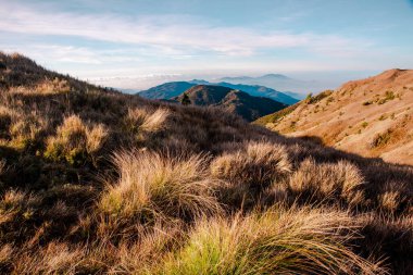 Corrdillera Dağı 'nın zirvesinden kalma dağ sırtları. Pulag, Benguet, Filipinler.