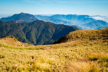 Filipinler 'deki Pulag Dağı Ulusal Parkı' nın zirvesindeki bulutların manzarası..