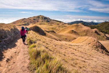 Bir grup yürüyüşçü Pulag Dağı Ulusal Parkı, Benguet, Filipinler 'de yürüyüş yapıyor..