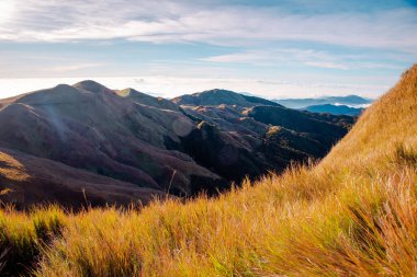 Corrdillera Dağı 'nın zirvesinden kalma dağ sırtları. Pulag, Benguet, Filipinler.