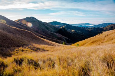 Corrdillera Dağı 'nın zirvesinden kalma dağ sırtları. Pulag, Benguet, Filipinler.
