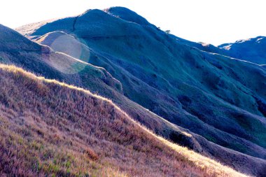 Dağın yamaçlarının renk gradyanı. Gün doğumunda Pulag Ulusal Parkı.
