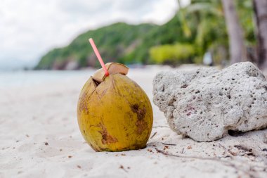 Plajdaki yaz sıcağını bastırmak için taze hindistan cevizi suyu..