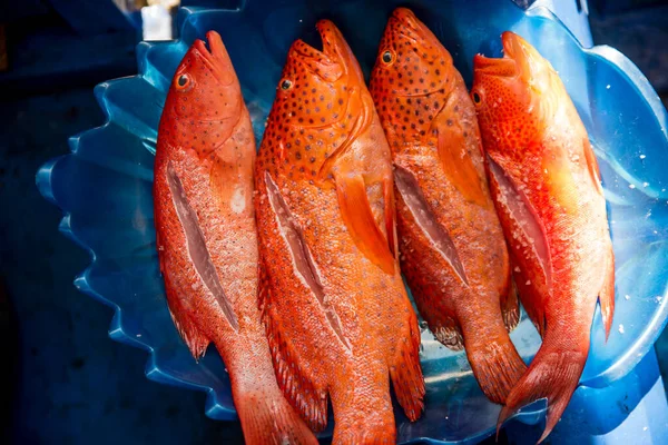 stock image Fresh Lapu Lapu fish with salt ready to be grilled