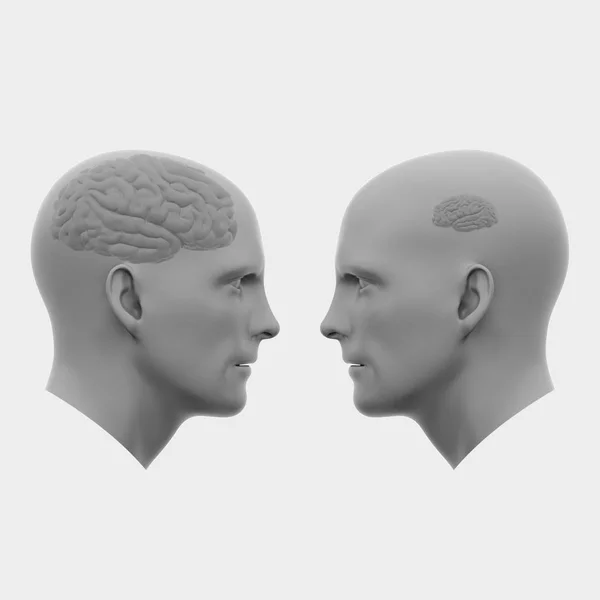 Duas cabeças masculinas com cérebros virados um para o outro — Fotografia de Stock